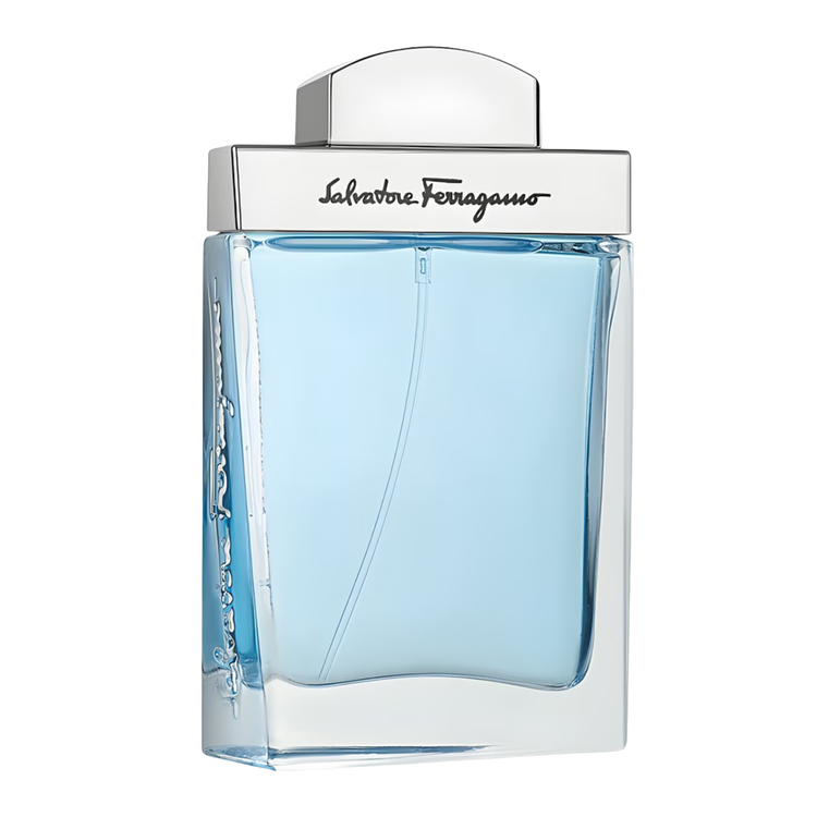 Salvatore Ferragamo Subtil Pour Homme Fresh EDT