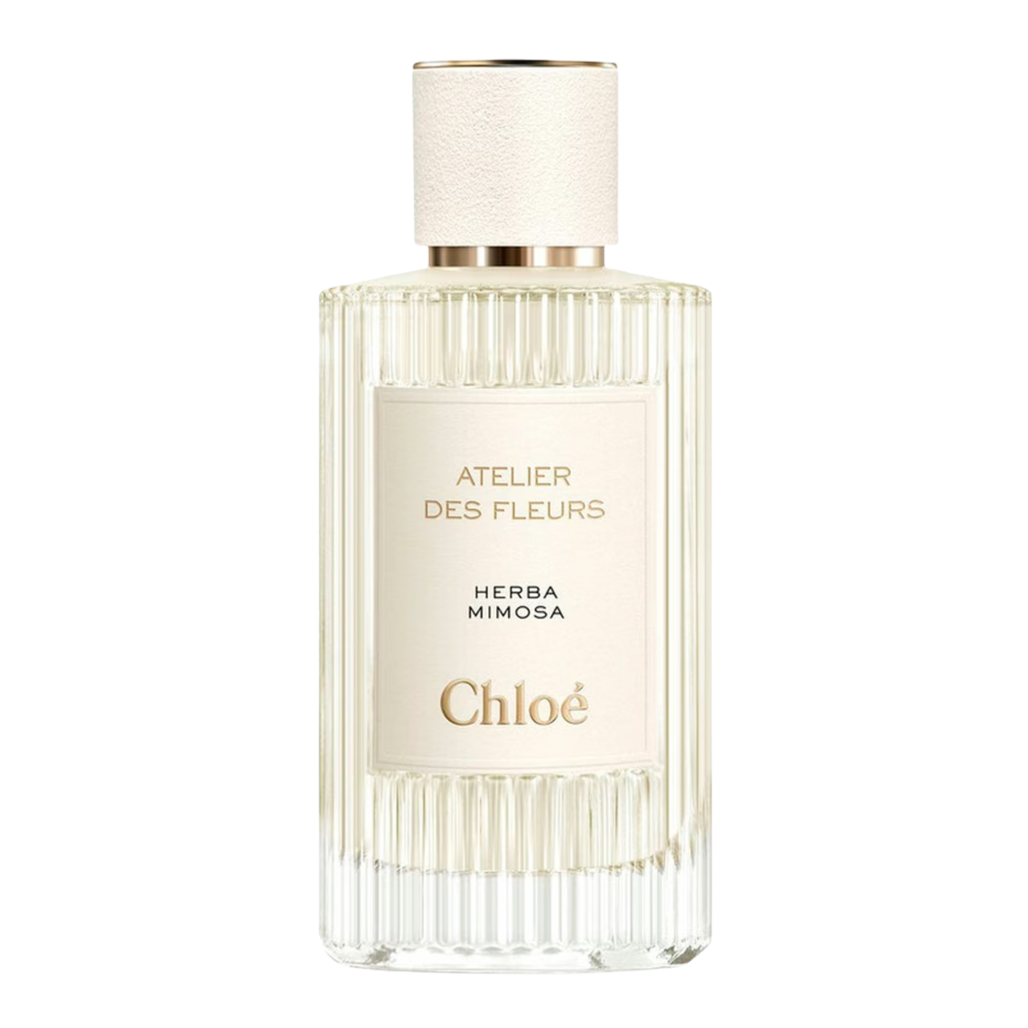 Chloe Atelier Des Fleurs Herba Mimosa Eau de Parfum- 5ml, 10ml