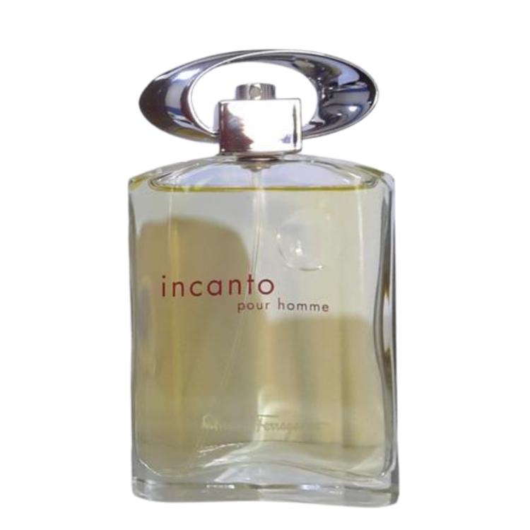 Salvatore Ferragamo Incanto Pour Homme EDT