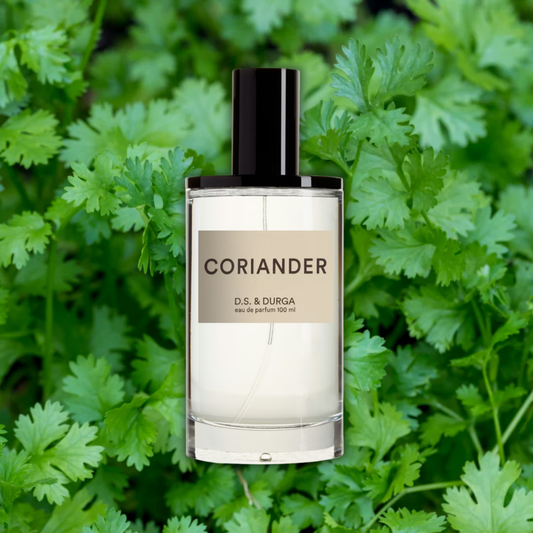 D.S. & Durga Coriander