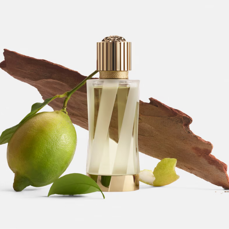 Versace Cedrat de Diamante Eau de parfum