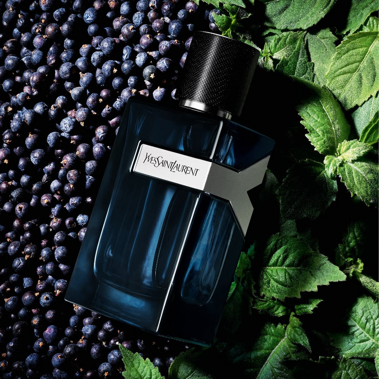 Yves Saint Laurent Y Eau de Parfum Intense for men | Samples