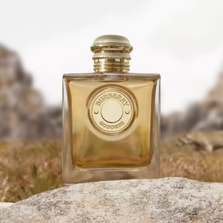 Burberry Goddess for women | Samples