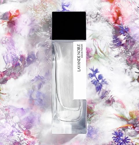 Laurent Mazzone Lavande Noire Eau de Parfum