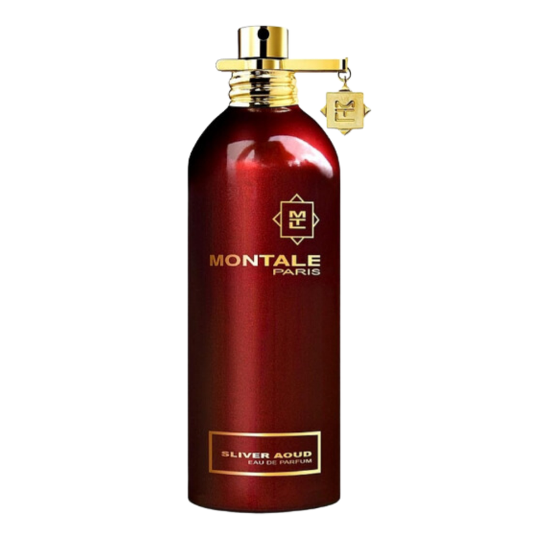 Montale Sliver Aoud for men