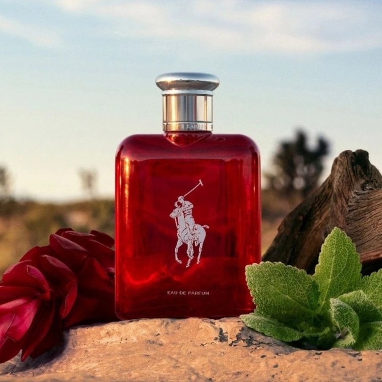 Ralph Lauren Polo Red for men | Samples