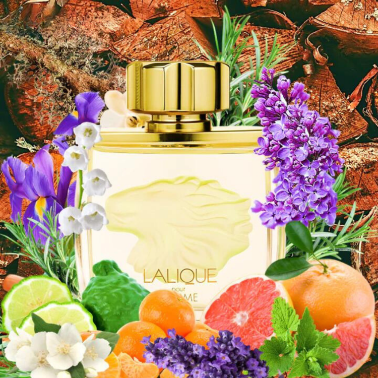 Lalique Pour Homme EDT