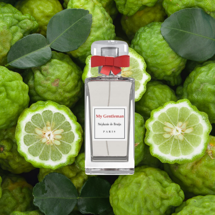 Stéphanie de Bruijn My Gentleman for men | Samples