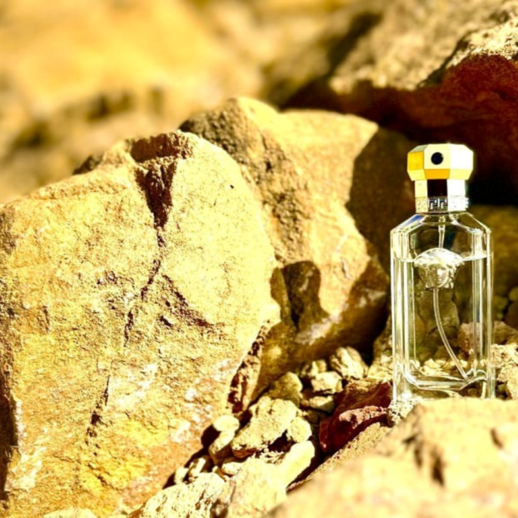 Versace The Dreamer Eau de Toilette