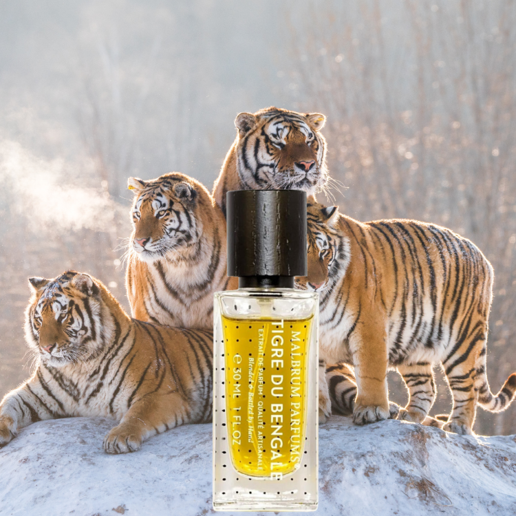 Malbrum Parfums Tigre Du Bengale Extrait de parfum