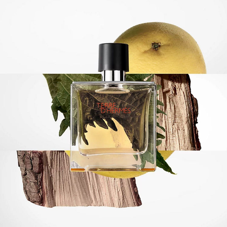 Hermes Terre d’Hermes Pure Parfum