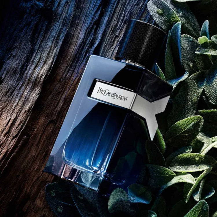 Yves Saint Laurent Y Eau de Parfum Intense