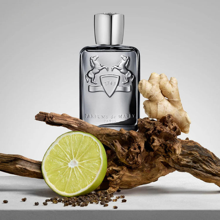 Parfums De Marly Castley Eau de Parfum
