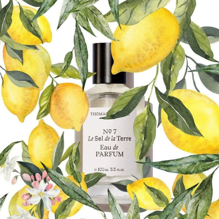 No.7 Le Sel de la Terre