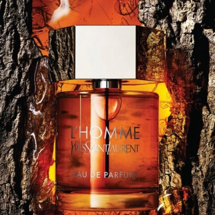 Yves Saint Laurent L'homme for men | Samples
