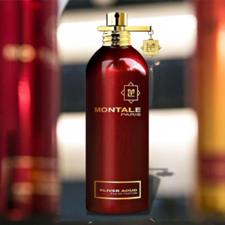Montale Sliver Aoud for men