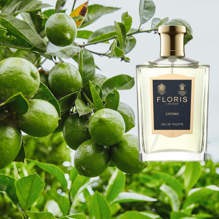 Floris London Cefiro Eau de Parfum