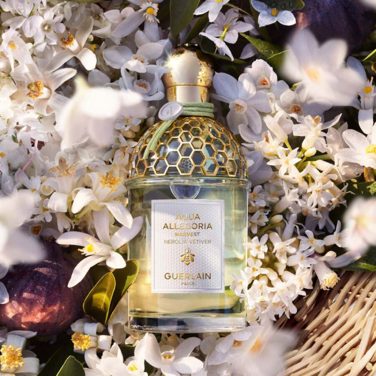 Guerlain Aqua Allegoria Nerolia Vetiver Eau de Parfum