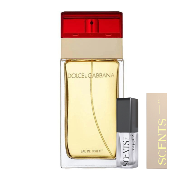 Dolce & Gabbana Dolce & Gabbana | Samples