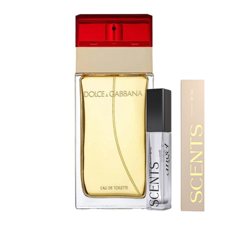 Dolce & Gabbana Dolce & Gabbana | Samples