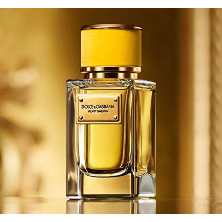 Dolce & Gabbana Velvet Ginestra for women
