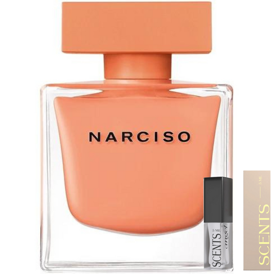 Narciso Rodriguez Ambrée for women | Samples