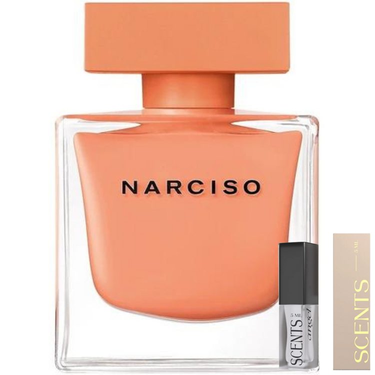 Narciso Rodriguez Ambrée for women | Samples