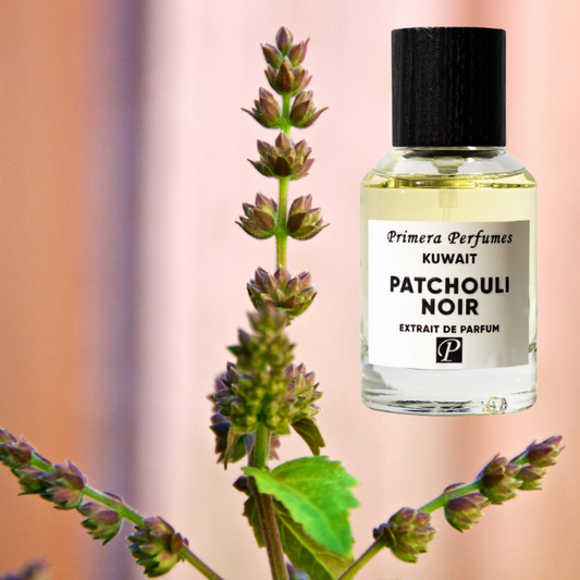 Primera Perfumes Kuwait Patchouli Noir Extrait de Parfum
