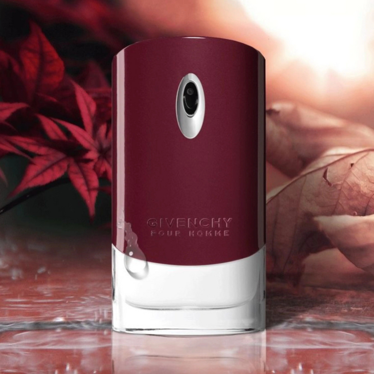 Givenchy Pour Homme EDT