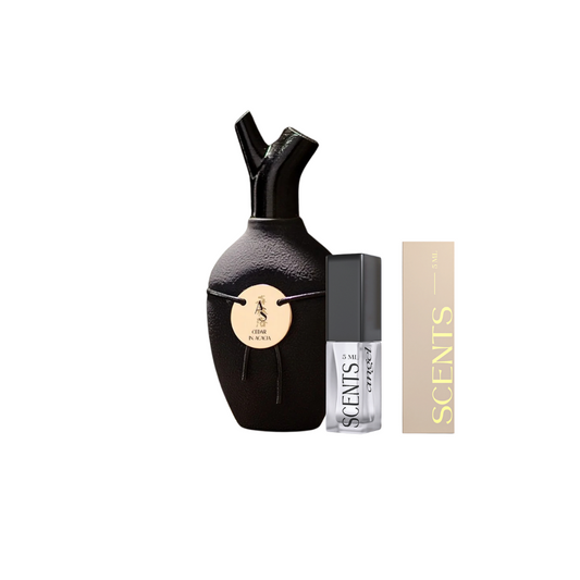 Scents of Wood Cedar in Acacia Eau de Parfum