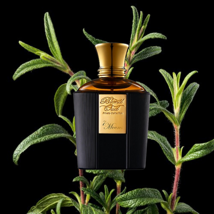 Blend Oud 7 Moons Eau de parfum