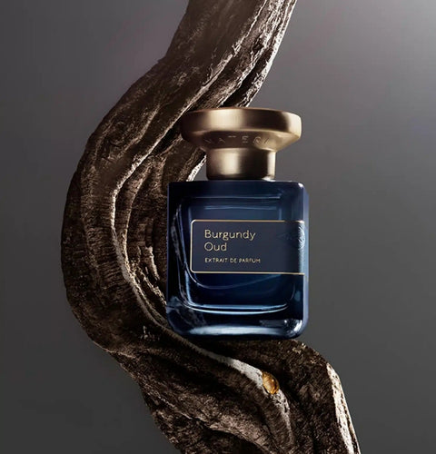 Burgundy Oud Extrait de Parfum