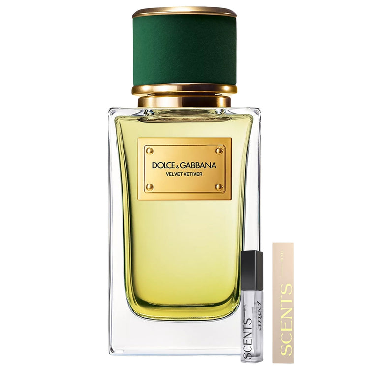 Dolce & Gabbana Velvet Vetiver Eau De Parfum