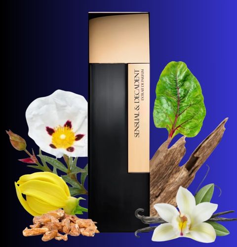 Laurent Mazzone Sensual & Decadent Extrait De Parfum