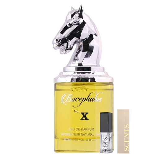Bucephalus X Eau de Parfum