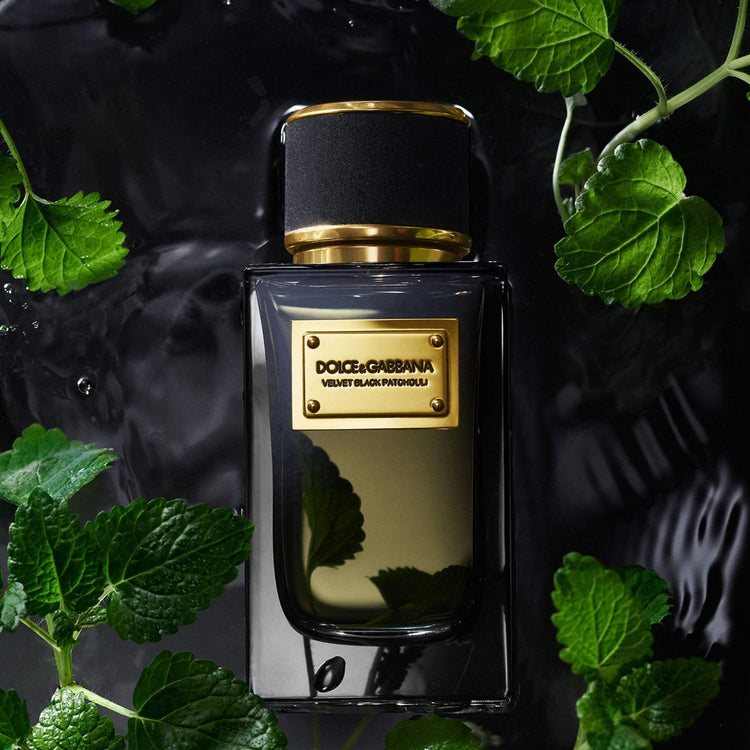 Dolce & Gabbana Velvet Black Patchouli Eau De Parfum