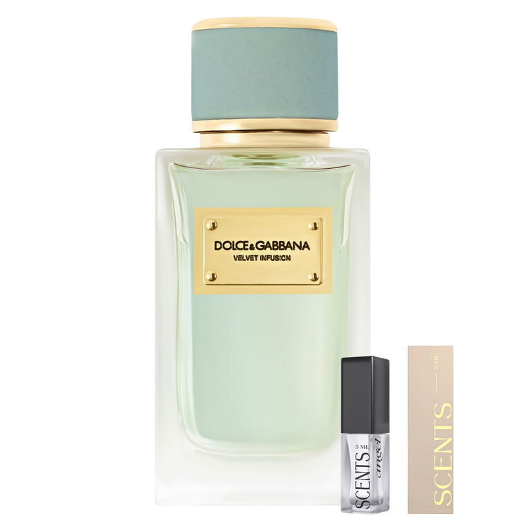 Dolce & Gabbana Velvet Infusion Eau De Parfum