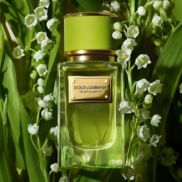 Dolce & Gabbana Velvet Mughetto Eau De Parfum