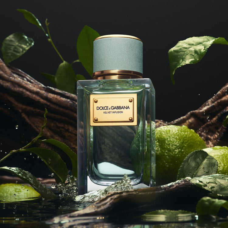 Dolce & Gabbana Velvet Infusion Eau De Parfum