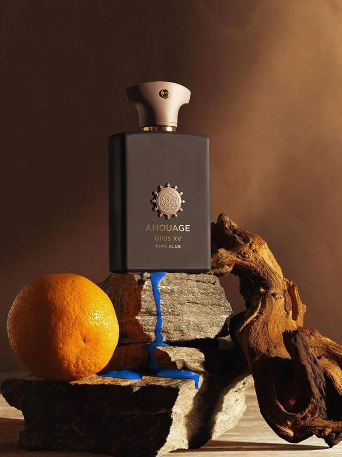 Premium Brands Sale