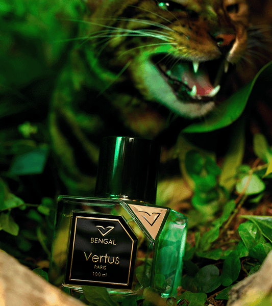 Vertus Paris