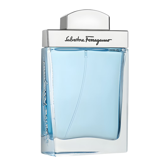 Salvatore Ferragamo Subtil Pour Homme Fresh EDT