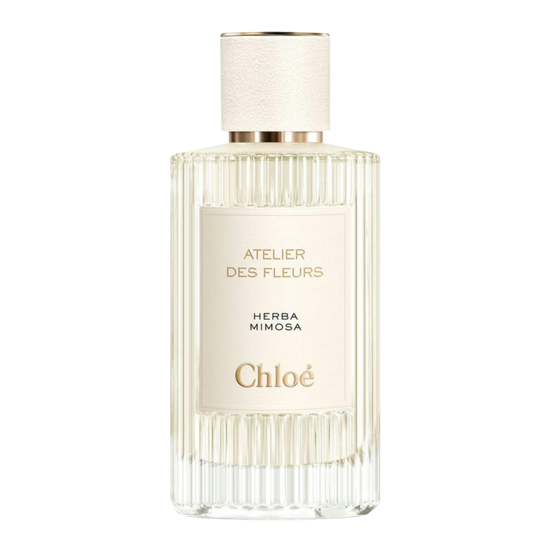 Chloe Atelier Des Fleurs Herba Mimosa Eau de Parfum- 5ml, 10ml