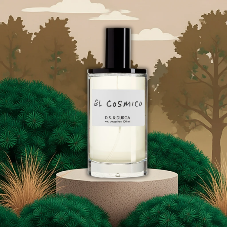 D.S. & Durga El Cosmico