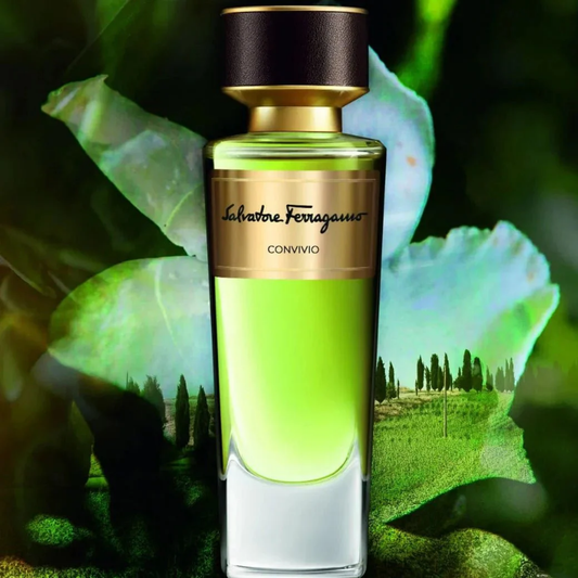 Salvatore Ferragamo Convivio Eau de parfum