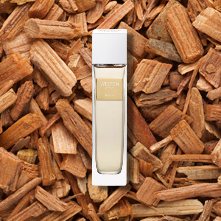 Welton London Baicha Eau de Parfum