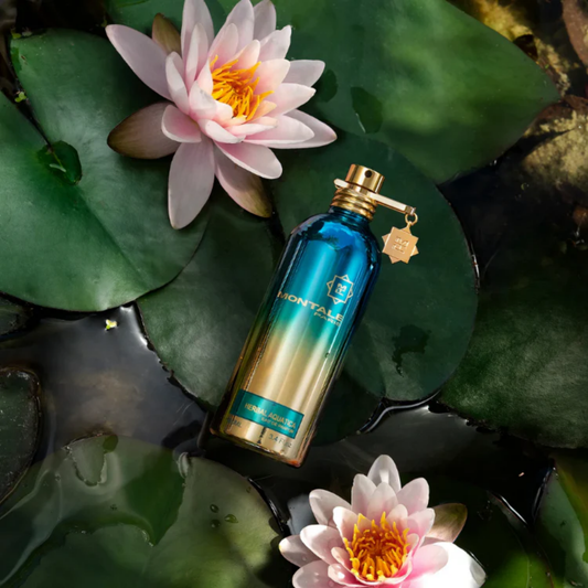 Montale Herbal Aquatica Eau de parfum