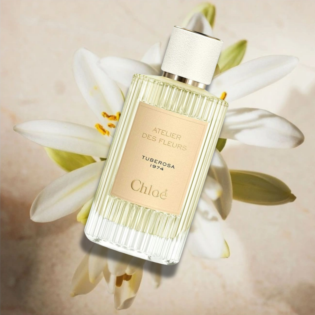 Chloe Atelier Des Fleurs Tuberosa 1974 Eau De Parfum - 5 ml ,10ml