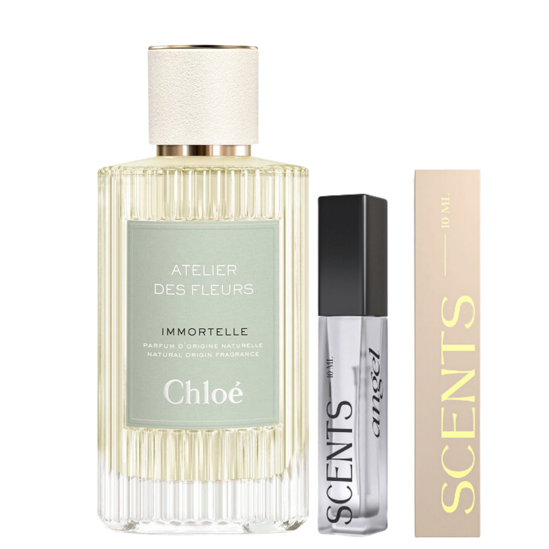 Chloé Atelier des Fleurs Immortelle Eau de Parfum | Scents Angel