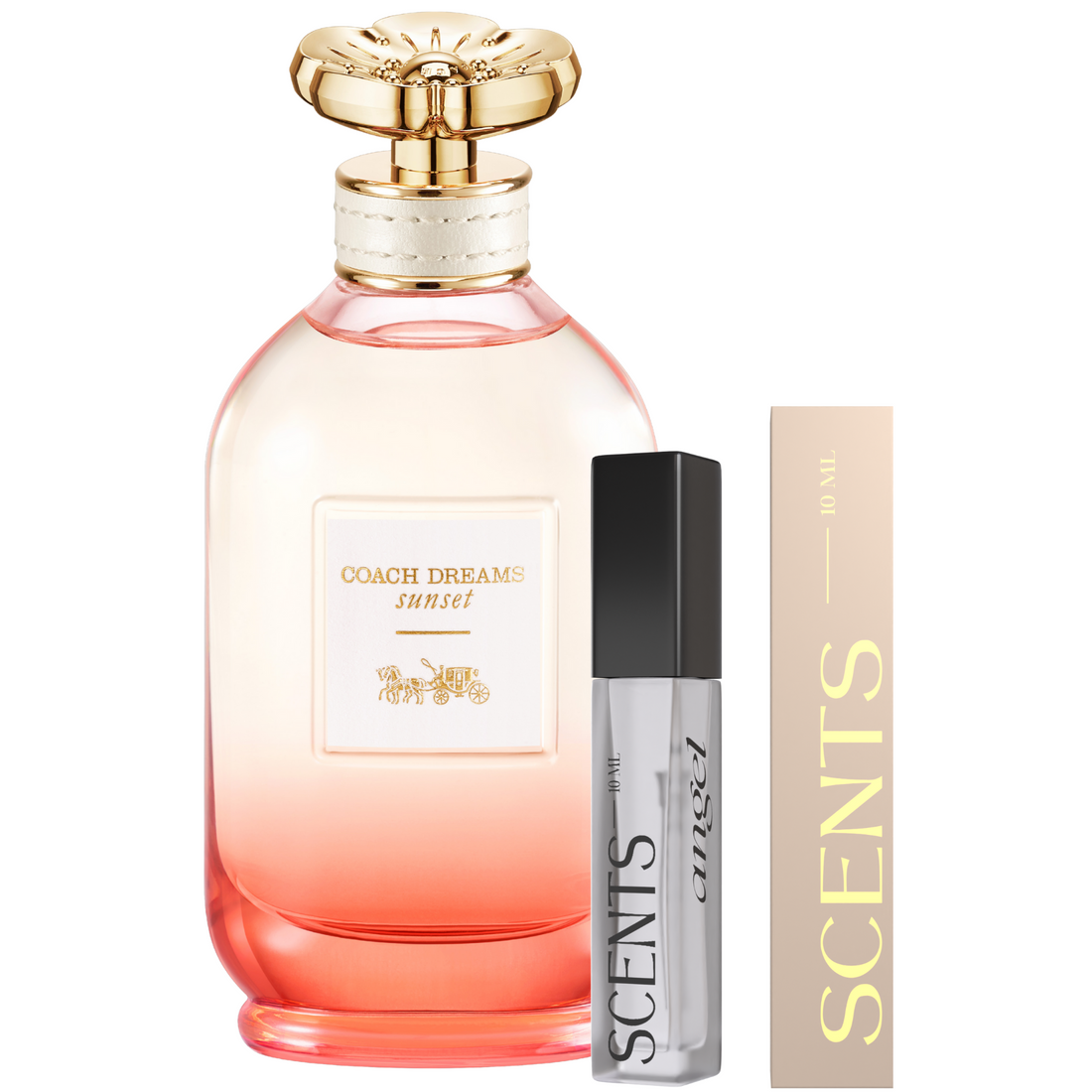 Coach Dreams Sunset Eau de parfum for Women | Scents Angel